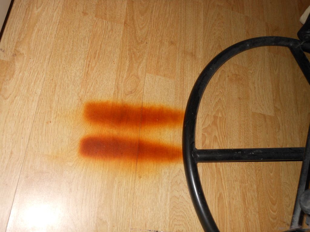 Can a heat mat burn wood ? Reptile Forums